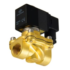 Parker Solenoid Coil XT 09