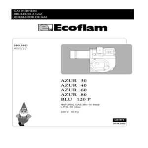 Ecoflam Multi Color Flame Burner